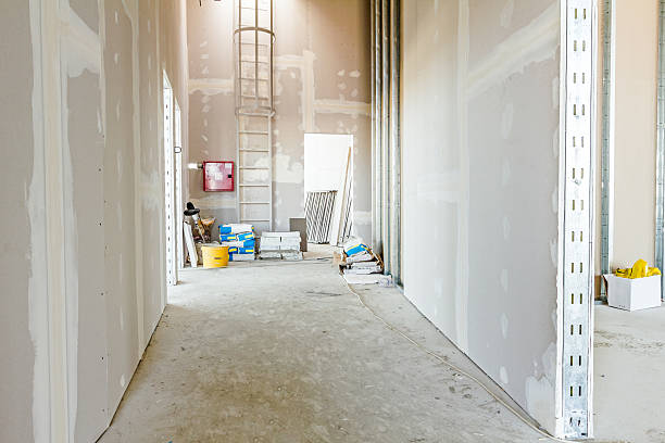 Best Environmental Consulting for Mold Prevention  in Mims, FL